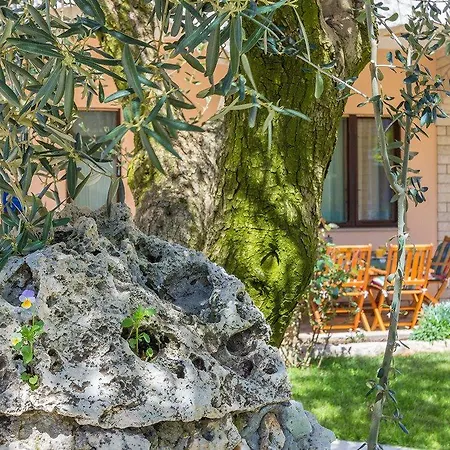 Apartment Ljuba Pula
